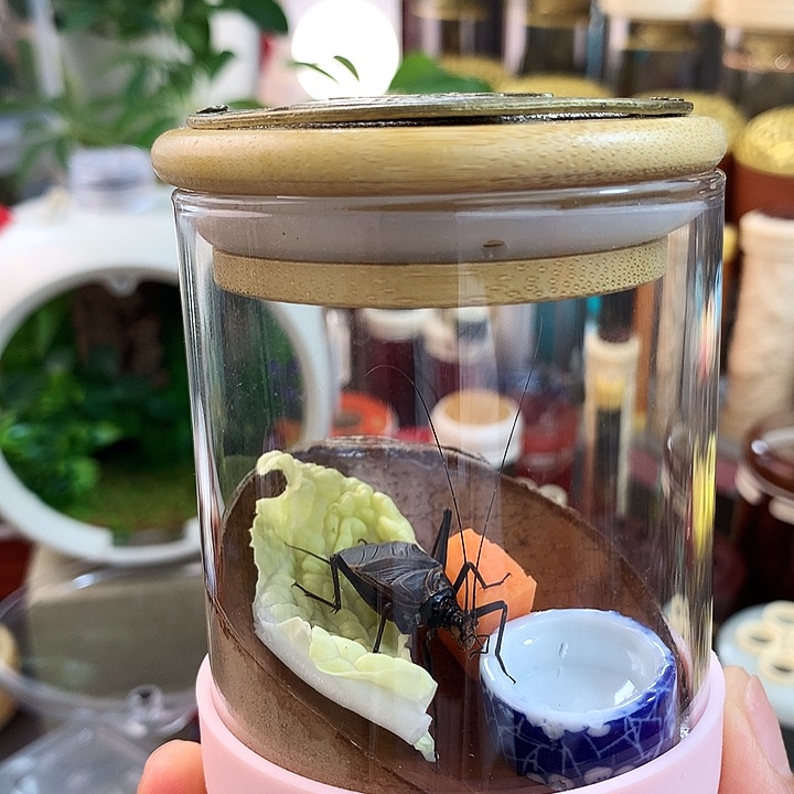 麒麟套装啊啊啊啊啊啊啊啊啊