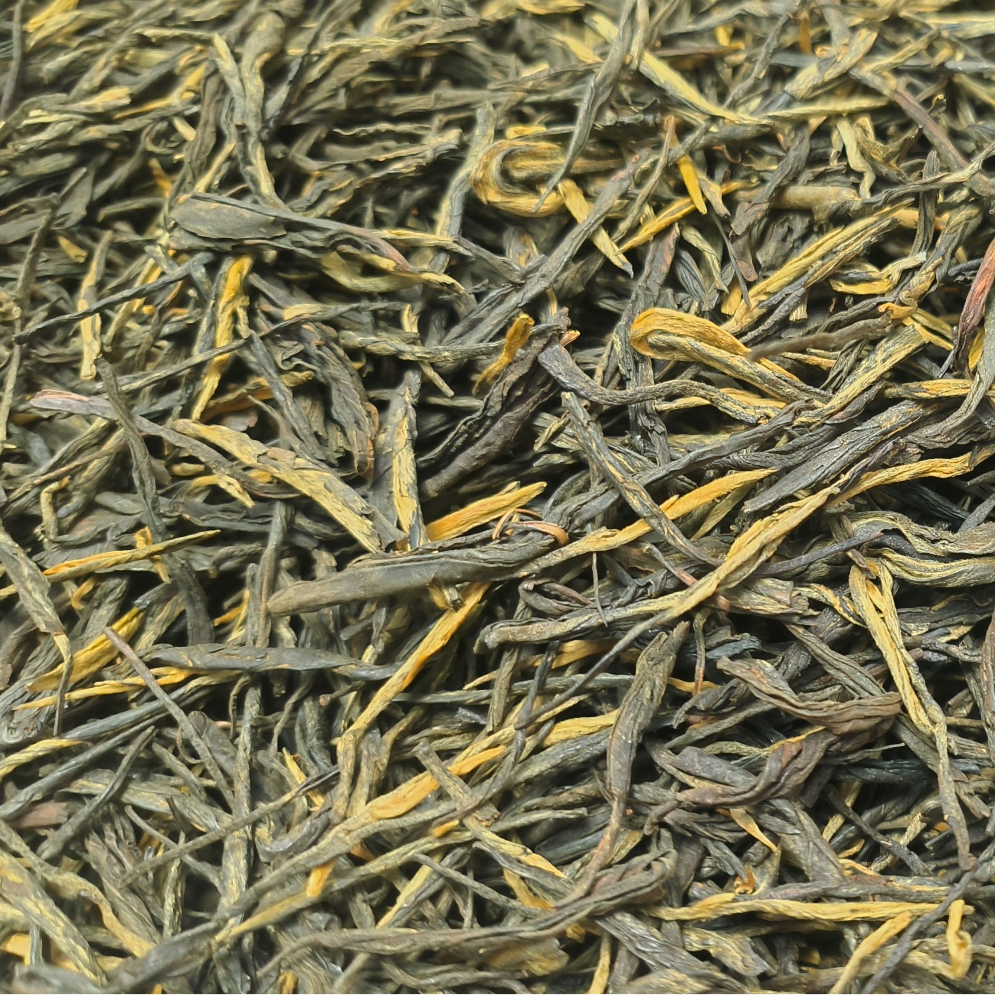 手工茶叶干货采摘特级浓醇老品种袋装散茶春茶松针临沧古树生茶