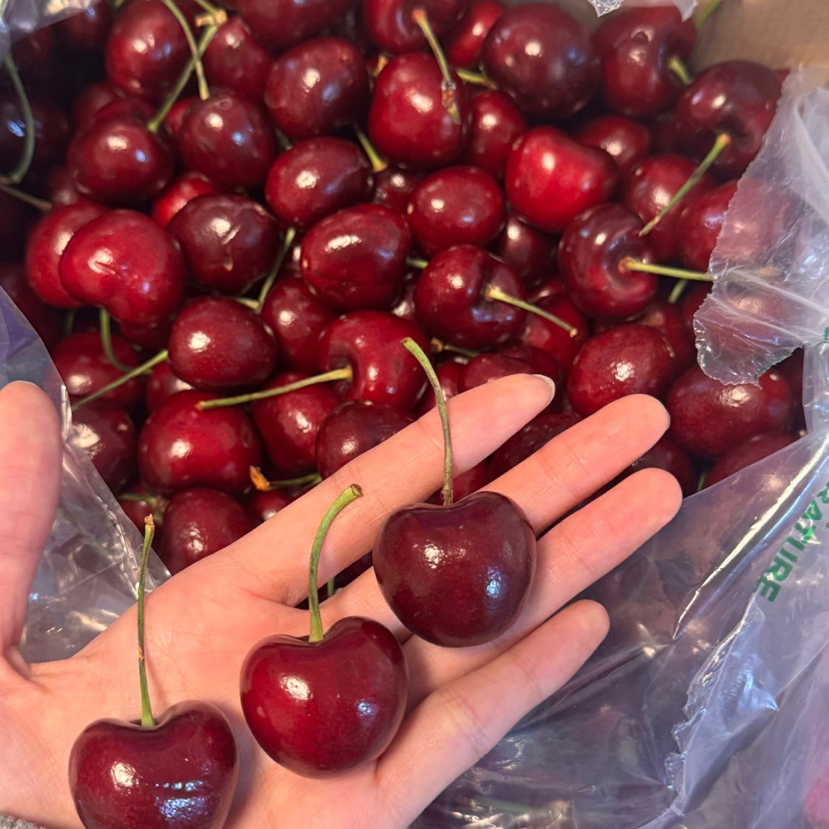 吉制 2JD  空运 桑提娜  黑车内附果径卡脆甜多汁新货