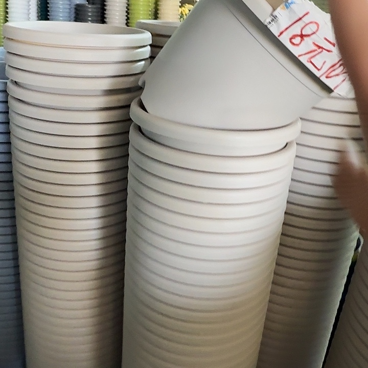 四季3号灰白无托10个特价