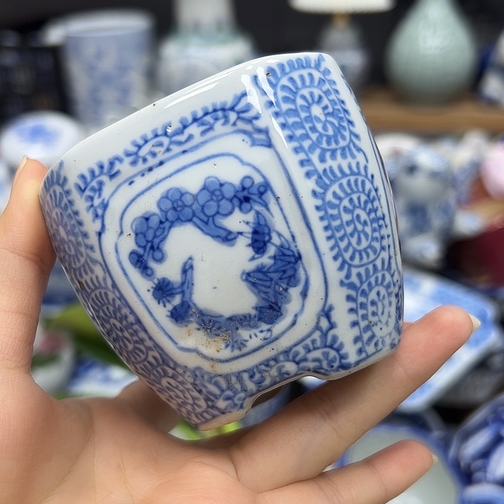 小鱼缸664948848848488484