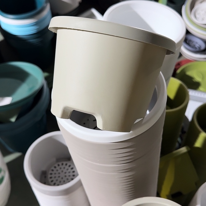 球根17口径10个无托灰白