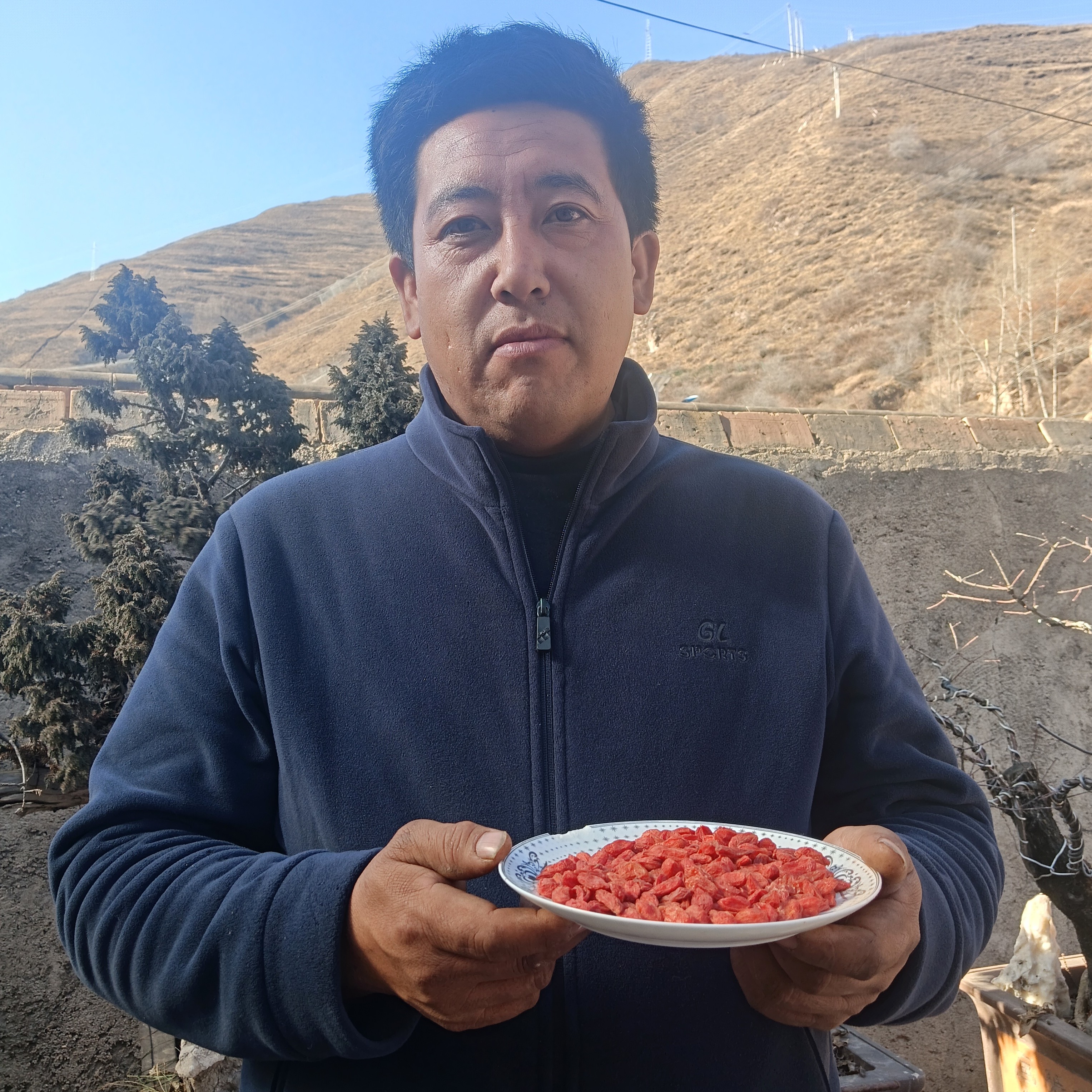 宁夏中宁头茬红枸杞免洗大颗粒泡水泡酒滋补枸杞子