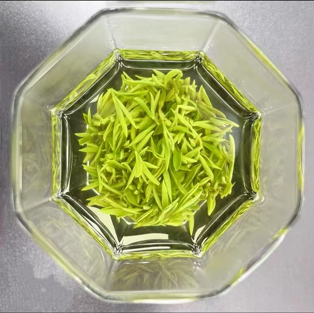 新茶碧螺春春季好茶新鲜清香花果香浓香耐泡
