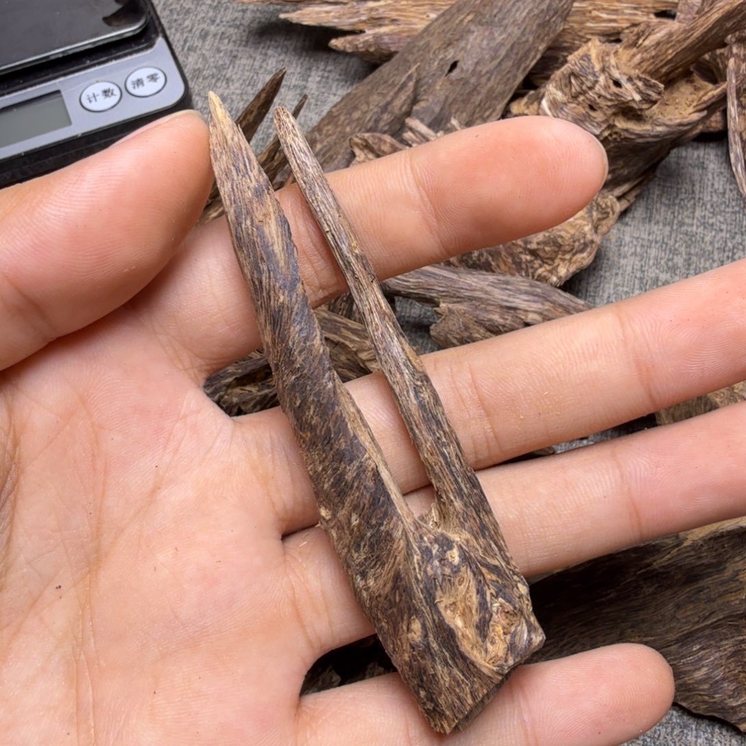 香榧木扭结软油树心3.4克