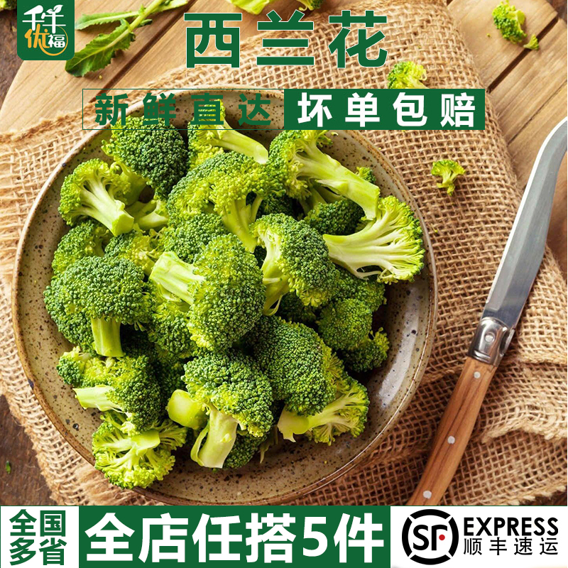 千牛优福西兰花500g 小朵西兰花朵 脆嫩青花菜绿花菜西蓝花椰菜