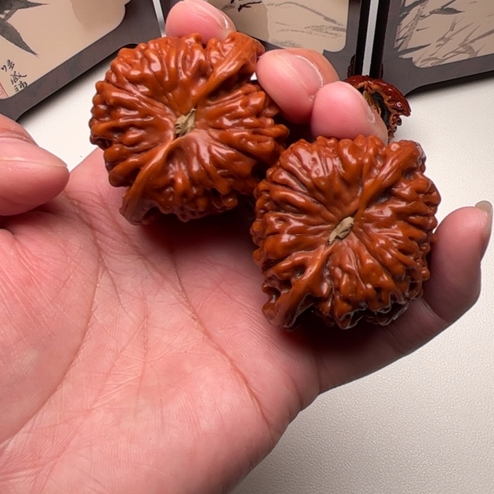 48尺 麒麟纹官帽 全