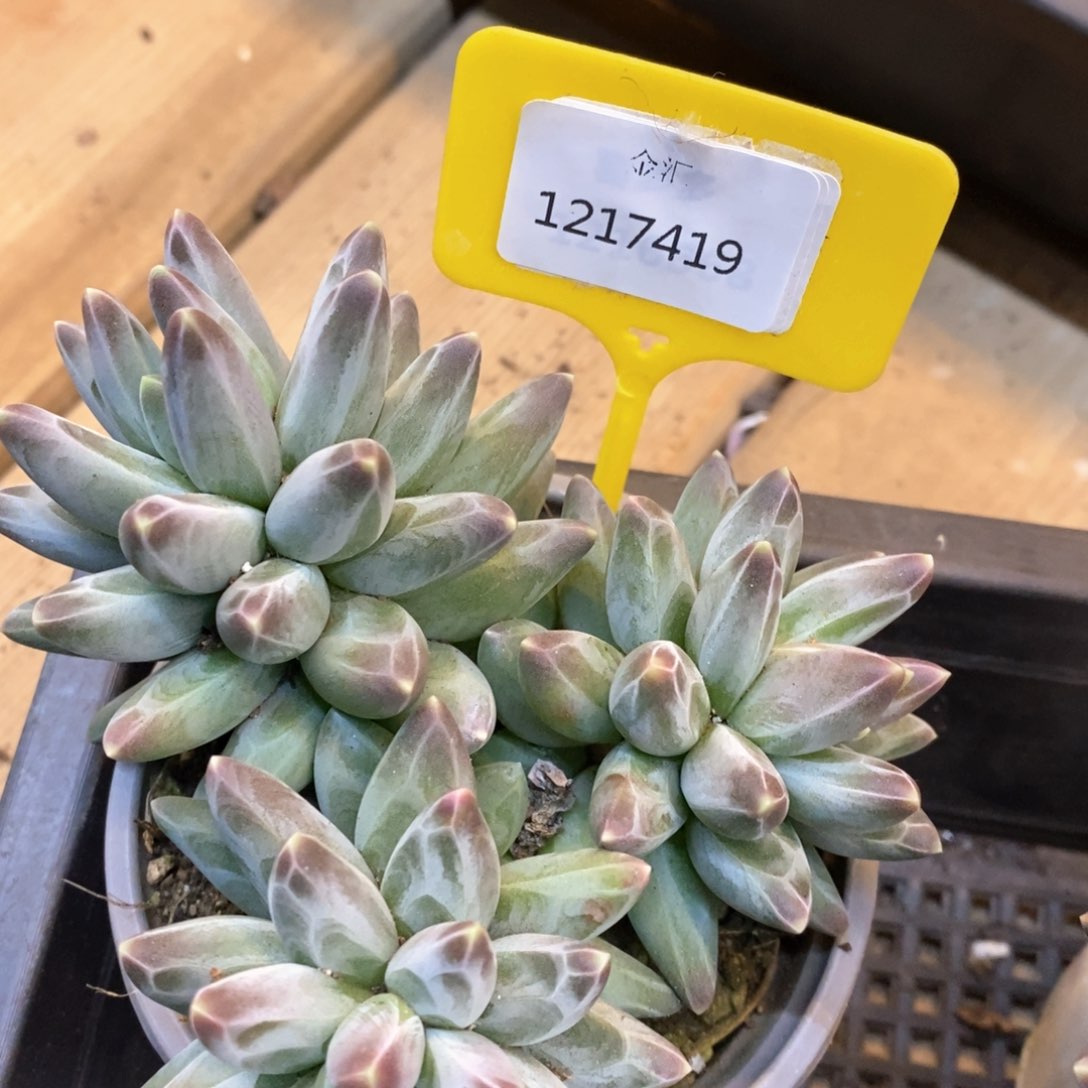 福利多多。1217419