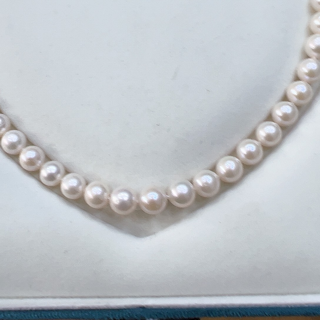 紫砂茶杯我们的生活方式是什么