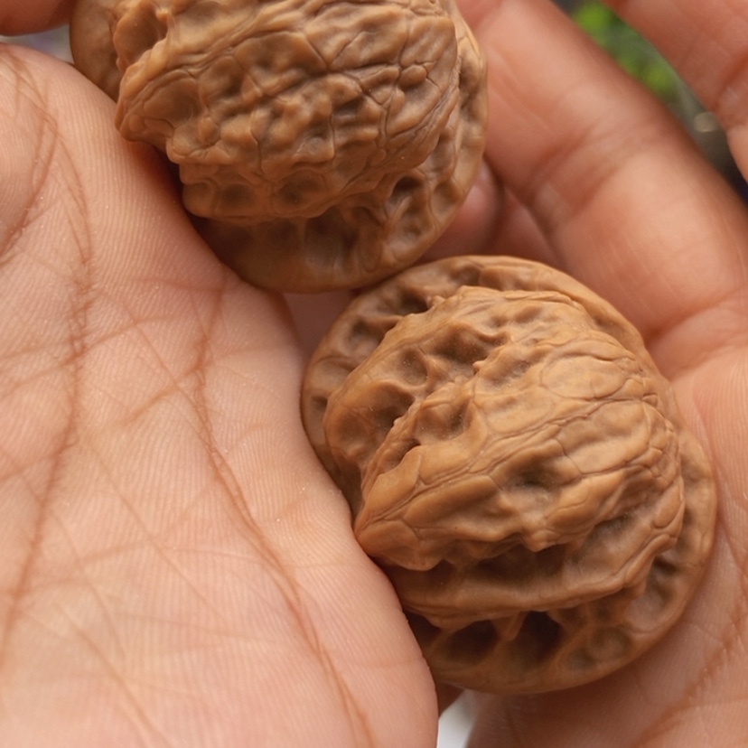 【闪购商品】文玩核桃把件37野狼全品