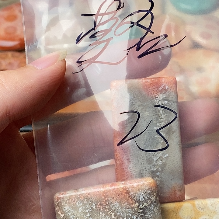 莫***名硅化玉未镶嵌颈饰