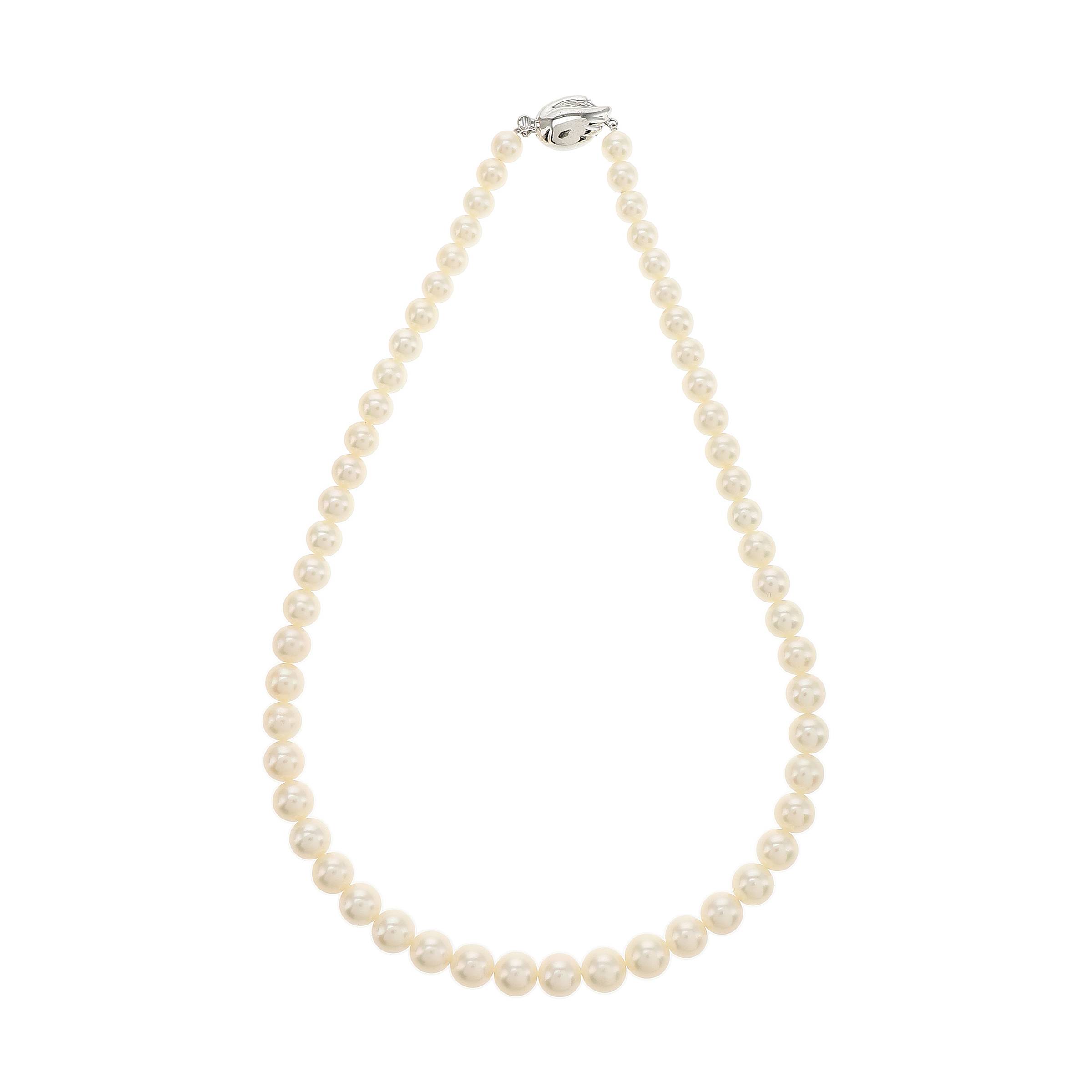 红布林/C1/塔思琦/36265441/z/121630