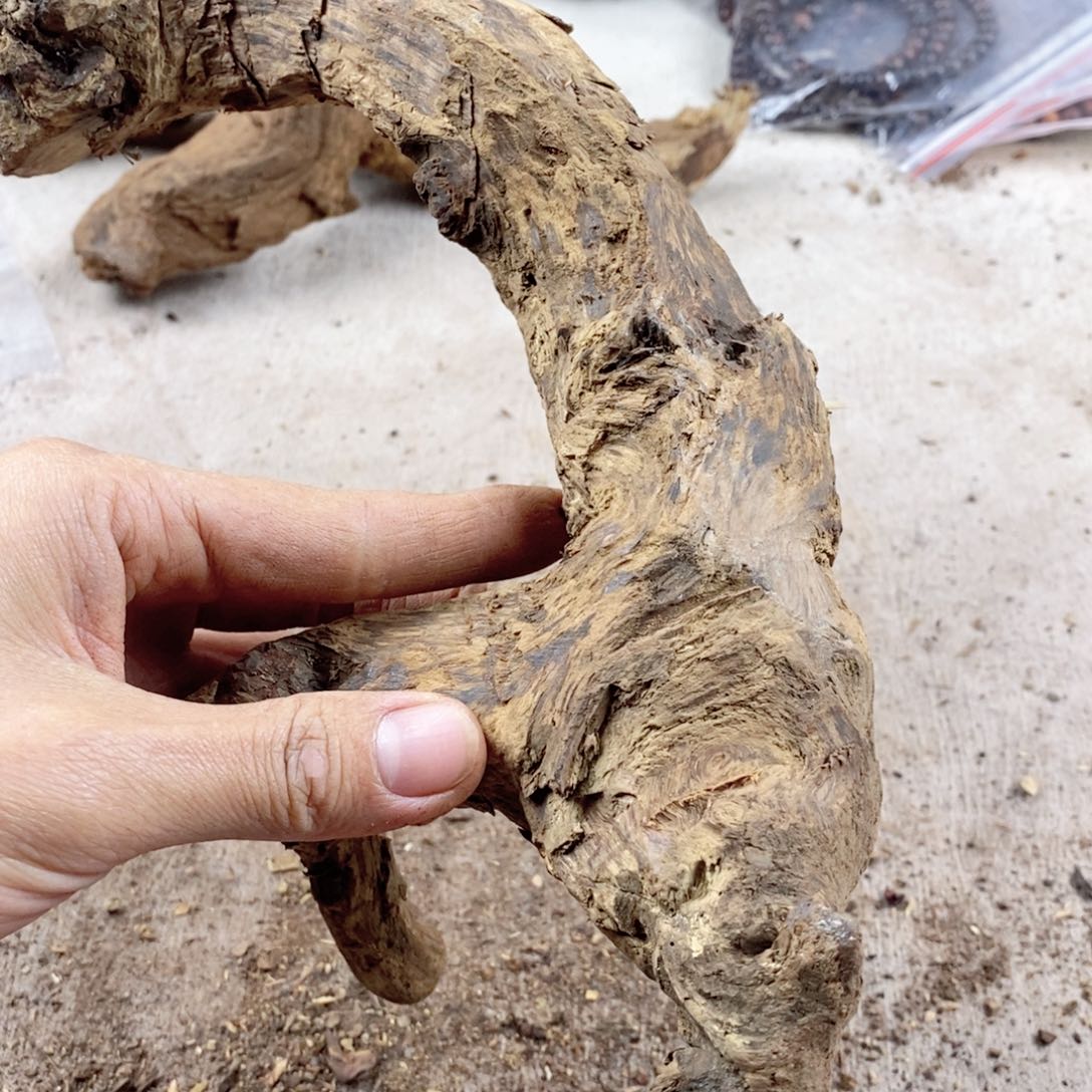 黄花梨/降香黄檀当*