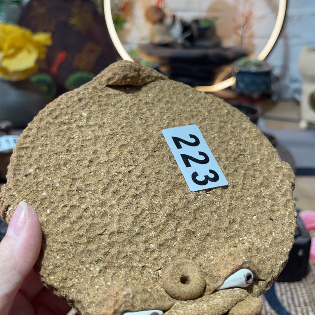 木村信弘柴烧保平