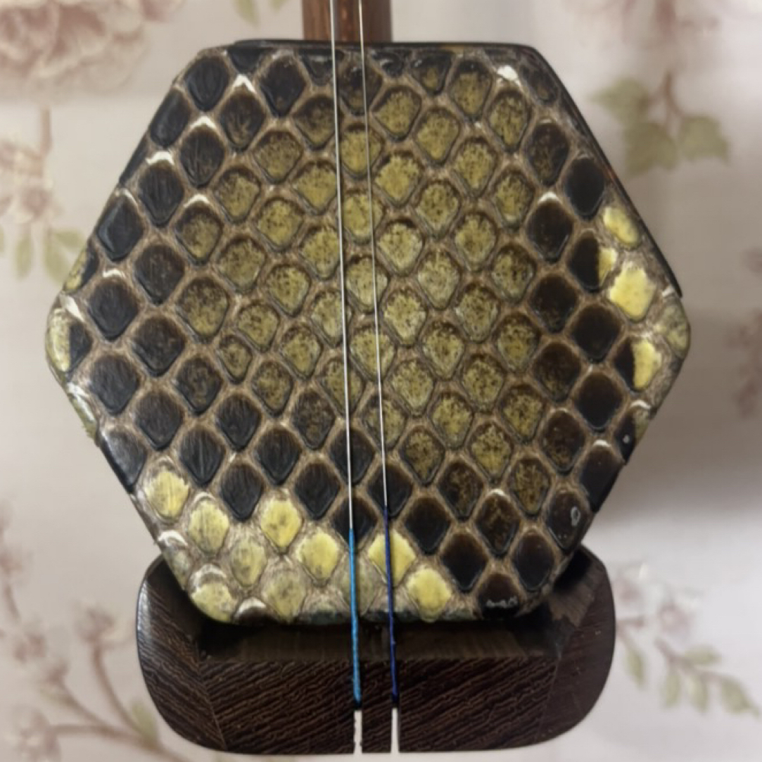 鸡翅木二胡专业演奏级适合成人老年考级使用