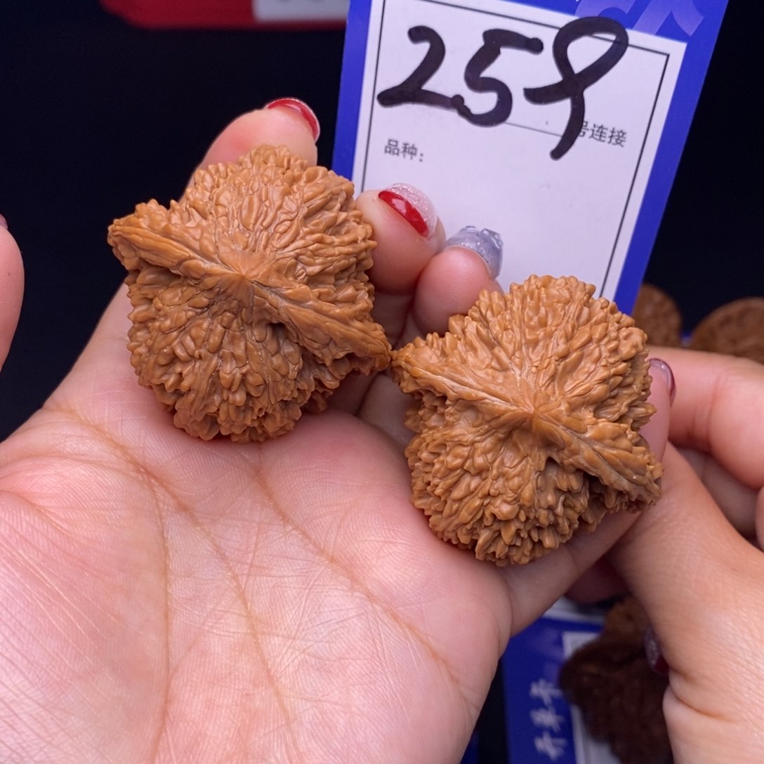 259号链接星星4.3尺00000