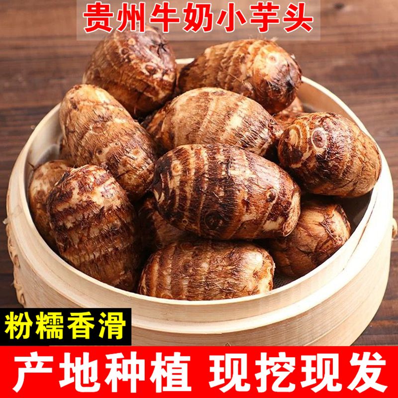 【牛奶芋头】贵州高山新鲜毛芋头农家蔬菜软糯粉香芋艿现挖小芋仔