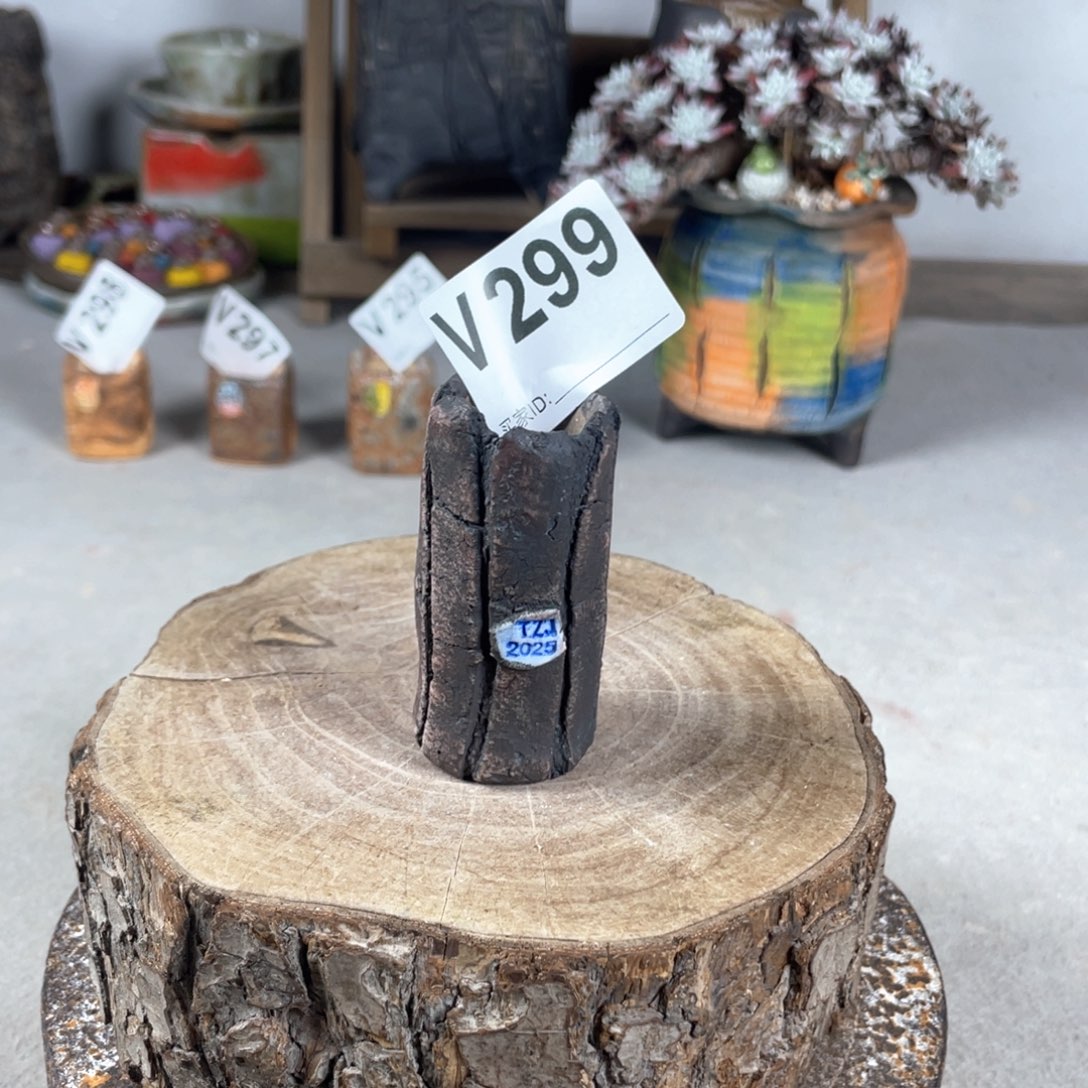 紫砂花盆独枝干 内口2