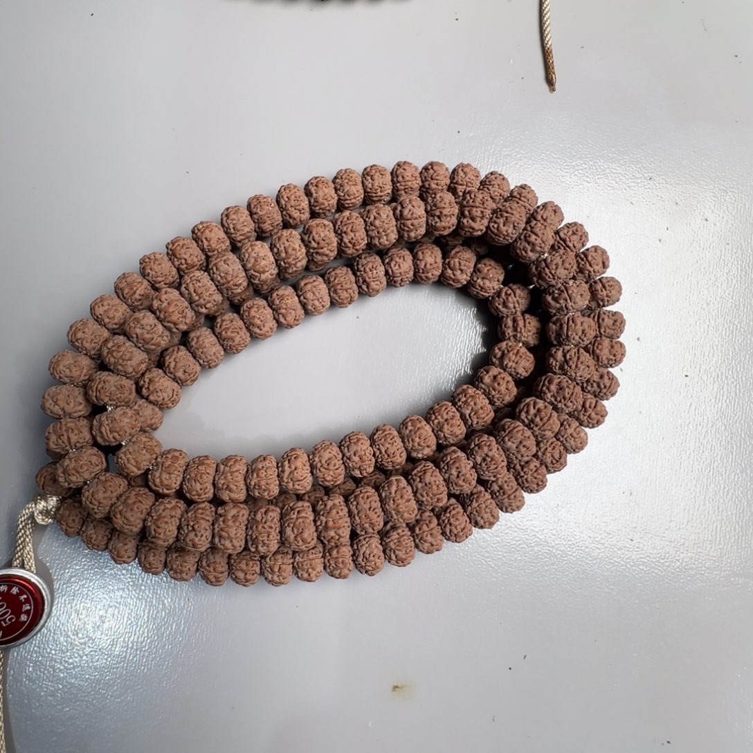 小***林一物一图5067平细8.7mm