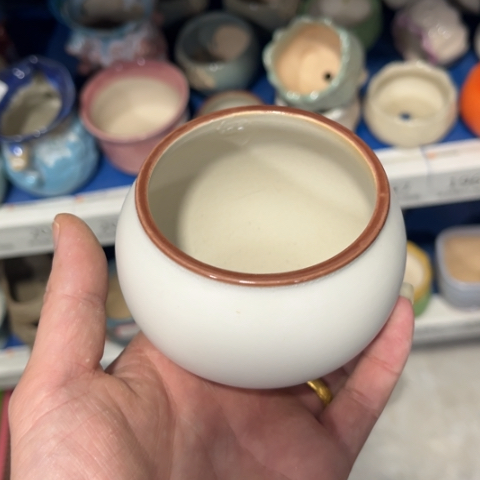 ［所有订单凑满15包邮］7+6