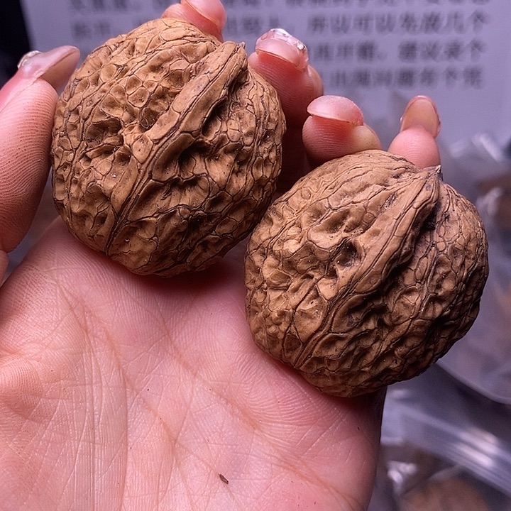 核桃云南野生铁核桃75号40mm