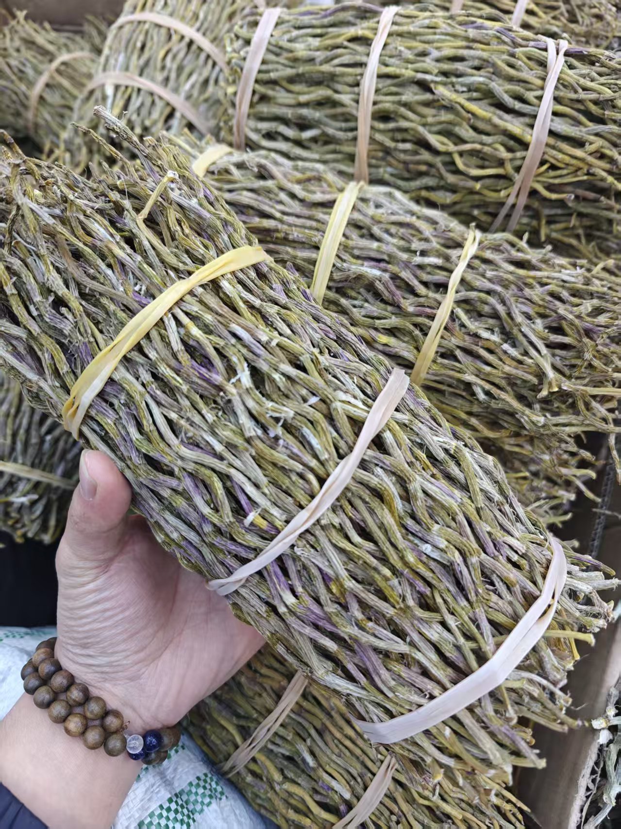 精选云南深山铁皮石斛条