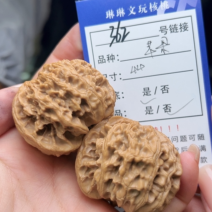 文玩核桃吊坠核桃树362