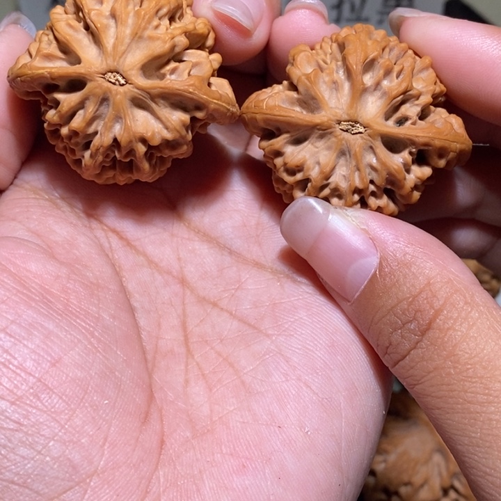 甄***生手串/手链核桃亲们