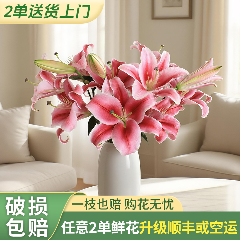 【云上花卉】帕拉佐+杏色果汁 任意2单升级快递 发货后不支持退款