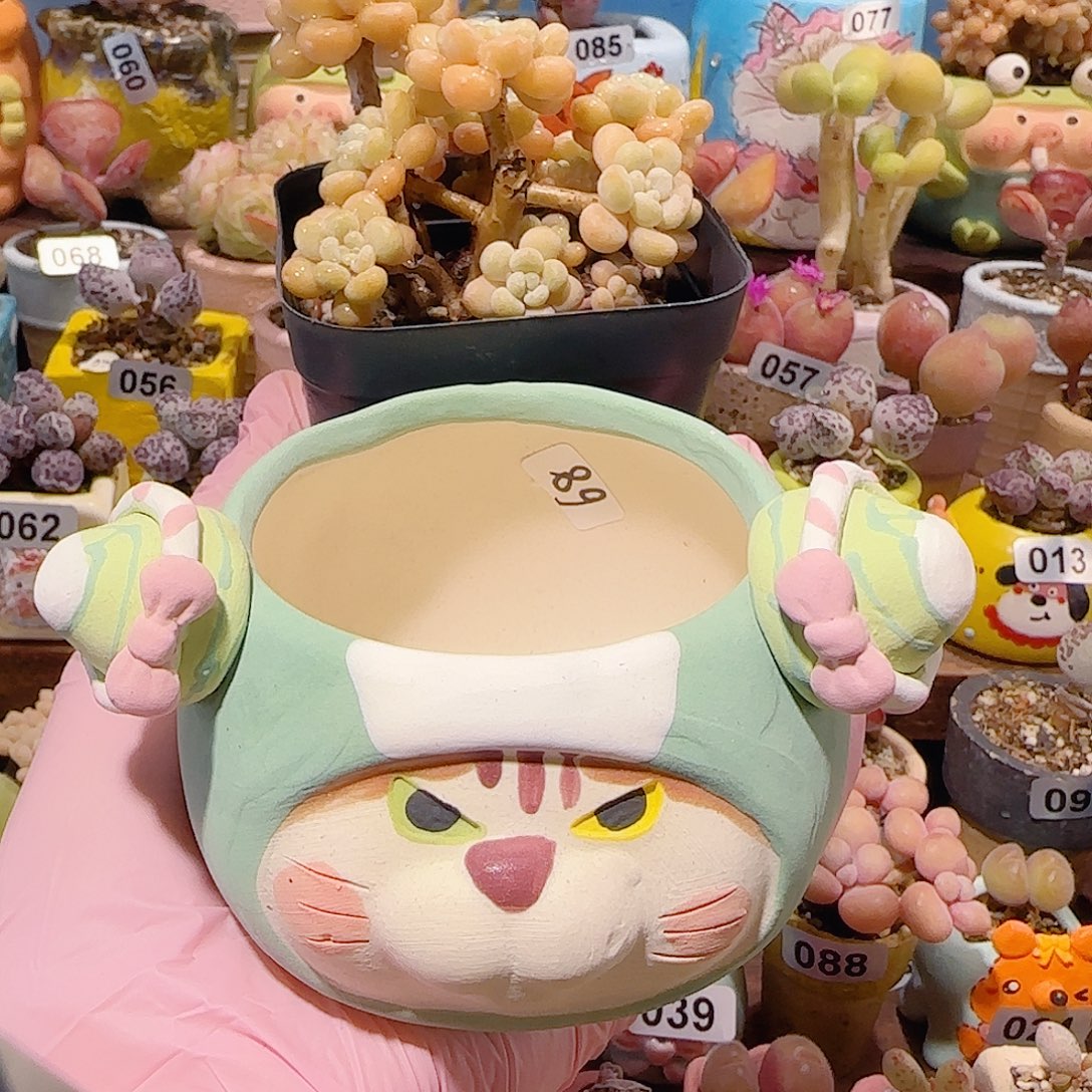 y***仔T鱼子酱中猫猫盆盆口5cm