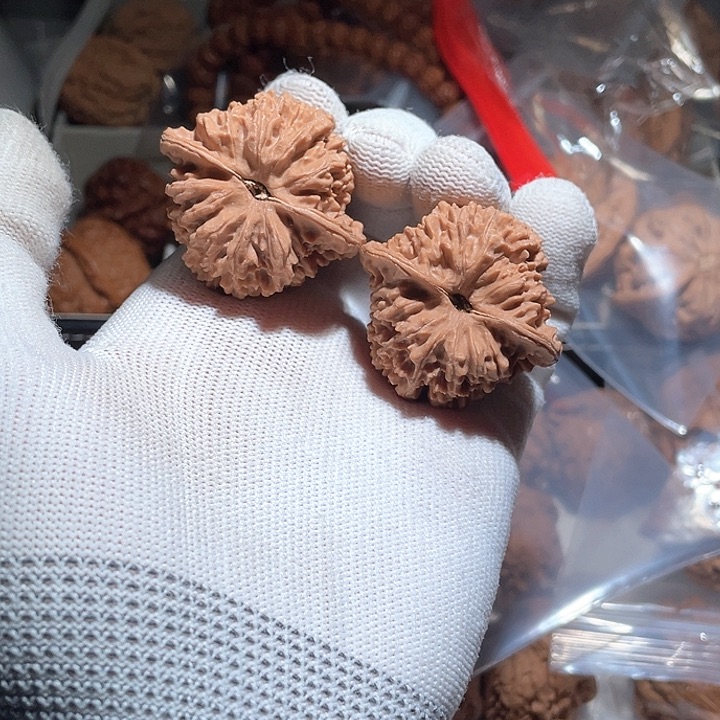 星**✨41全品无修百花山狮子头