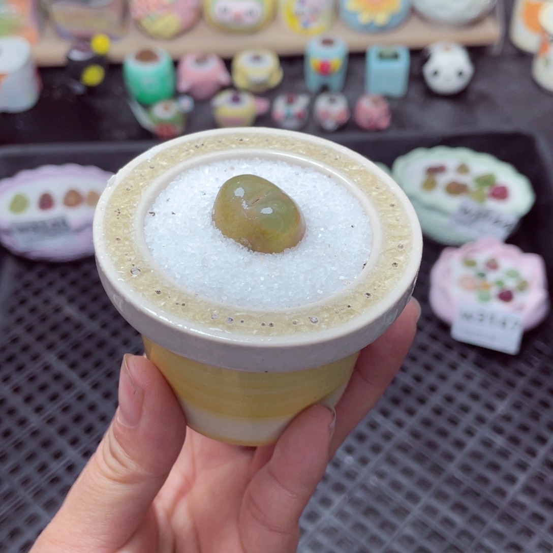 w3148 带盆土发货-零下地区拍保温箱