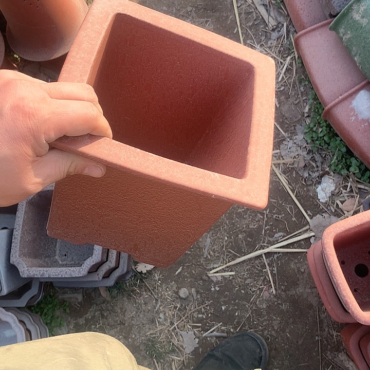 紫砂没有你喜欢吃辣不