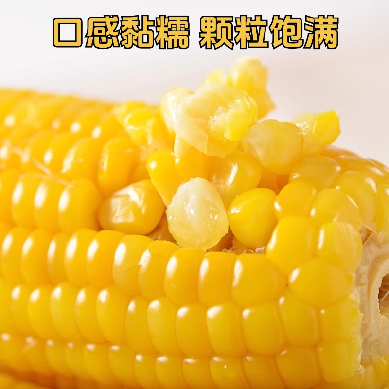 【糯玉米整箱14根】头茬东北糯玉米香甜糯H非转代餐低脂粗粮营养