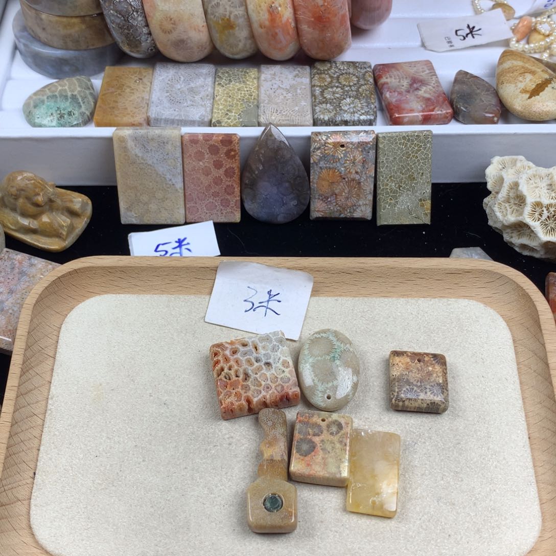 硅化珊瑚（珊瑚玉）无未镶嵌牙*a