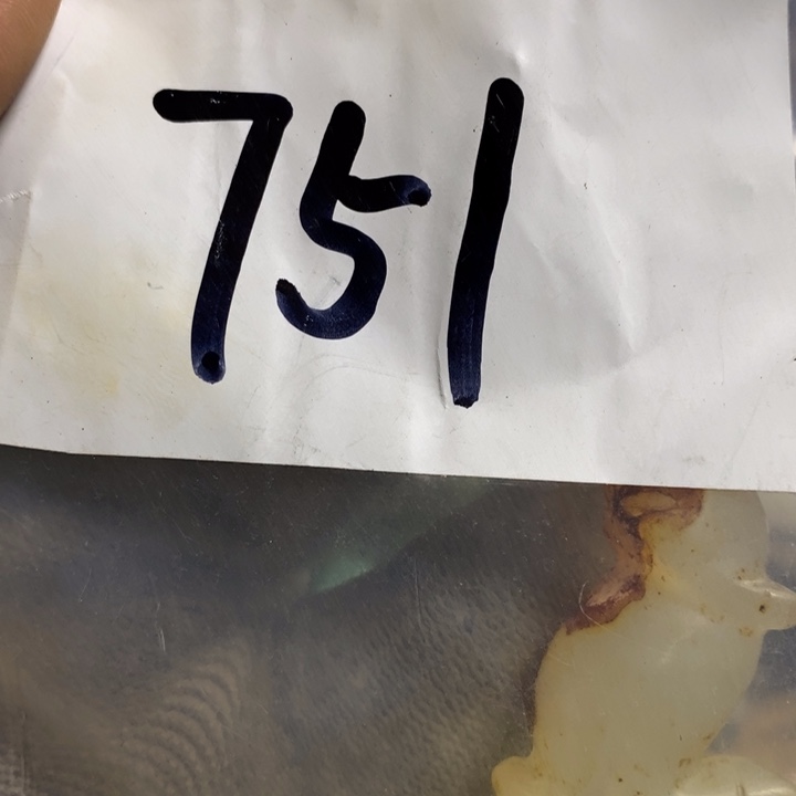 小***吉娜娜文玩杂项专属链接