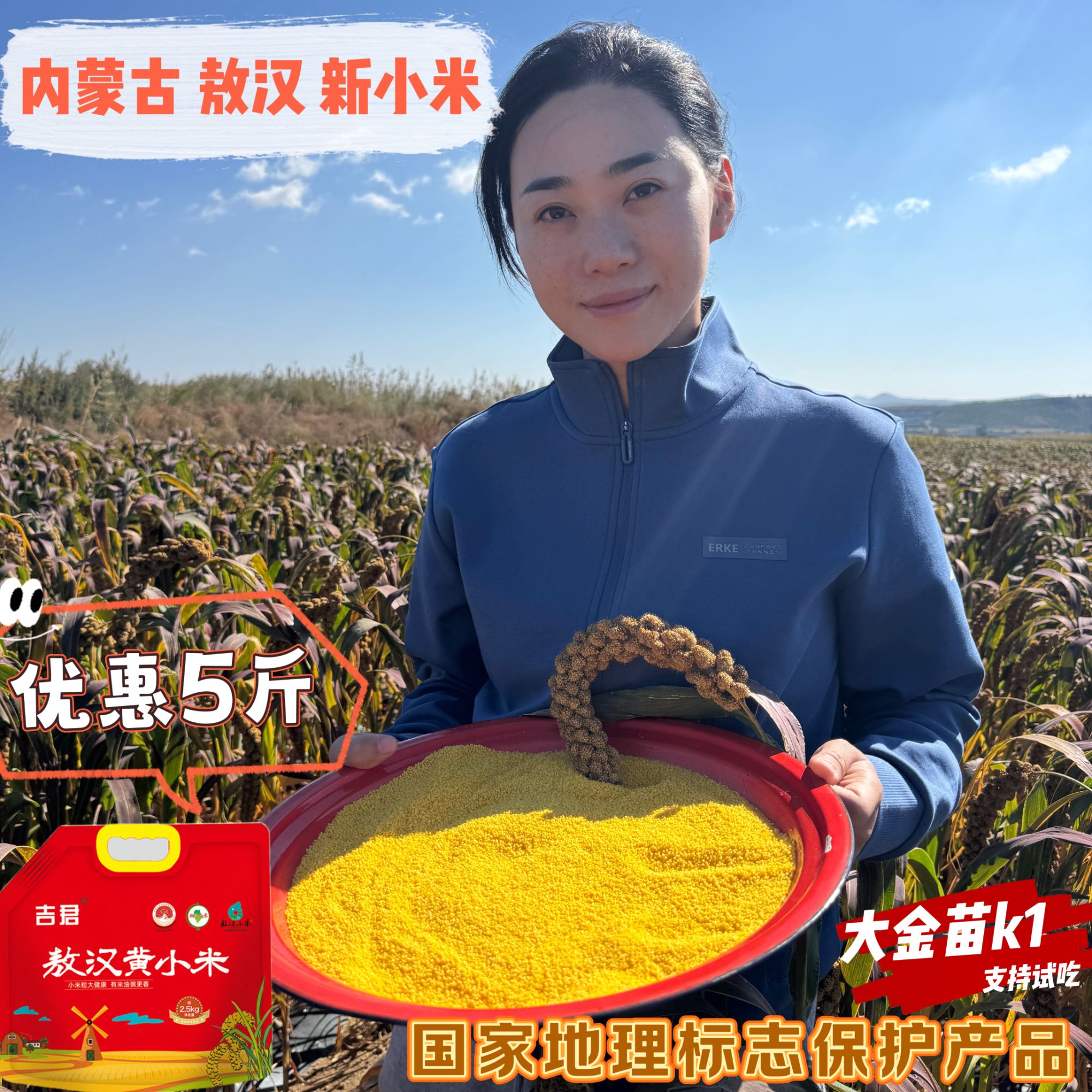 [小米大金苗K1]内蒙古敖汉小米新小米5斤