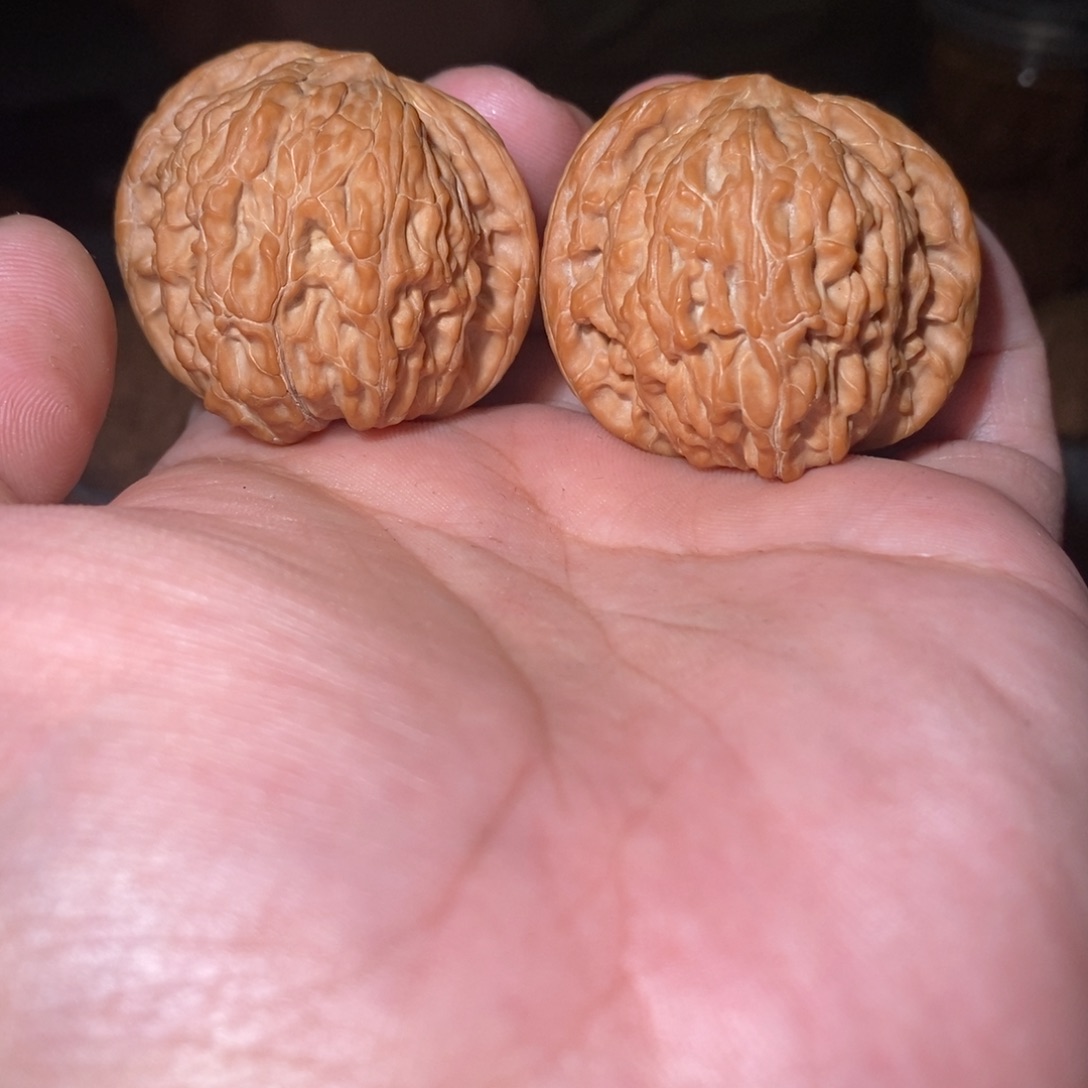 桃核吊坠40磨盘。   