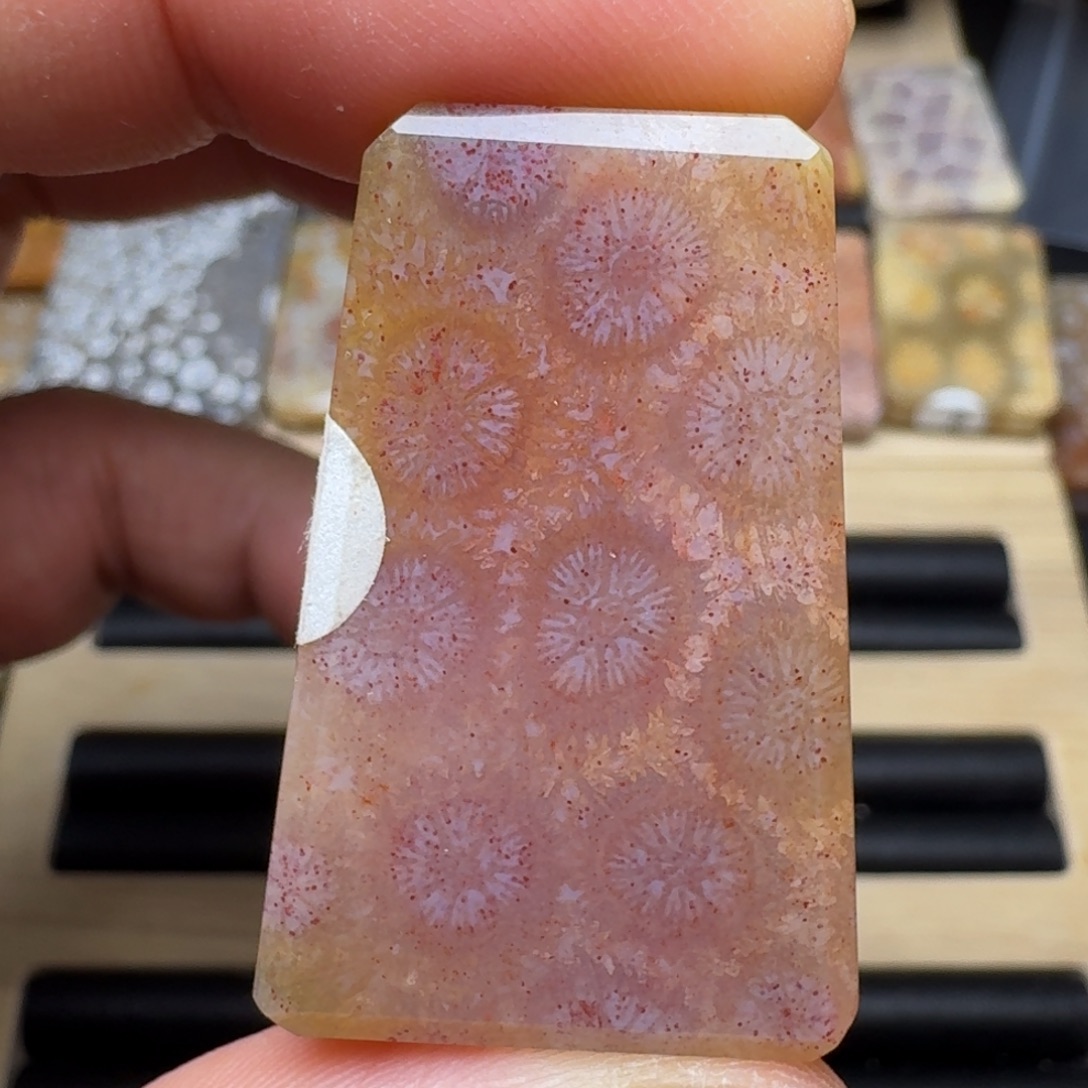 硅化玉未镶嵌纯天然色有机玉石保真色