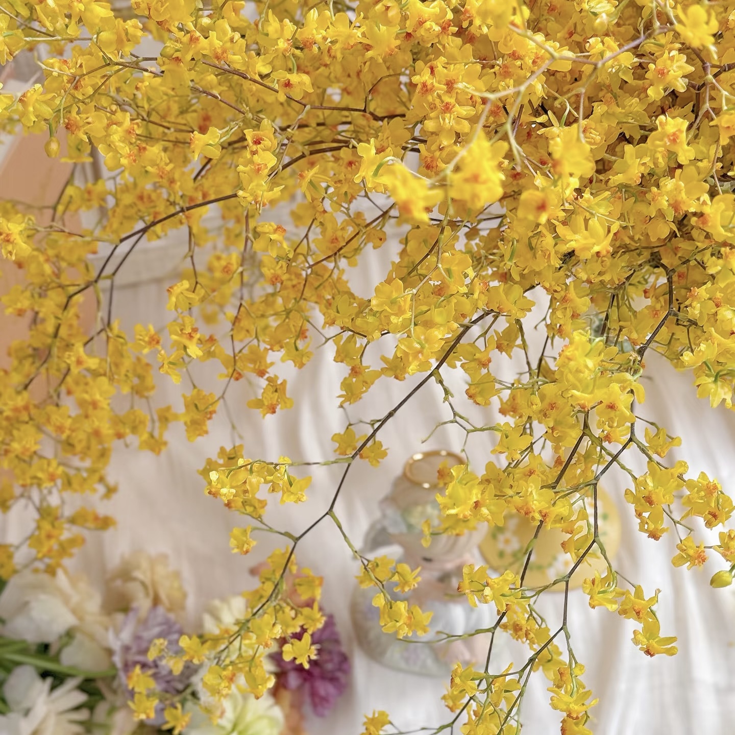 【金黄色】浓香梦香兰室内花卉 一物一拍