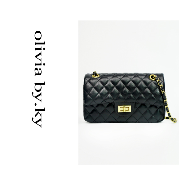 AYE女包轻奢小包【F01-50】