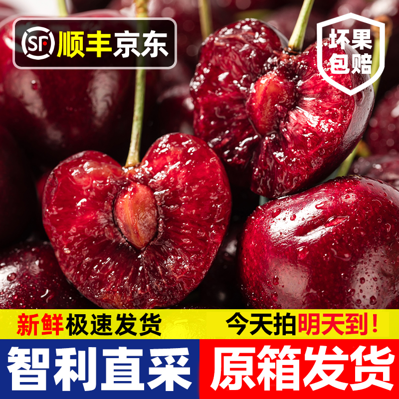 3JD特大果【今天拍明天到】智利进口车厘子鲜SS头茬宝宝孕妇内附果径卡2500-800g海运桑提娜樱桃智利共和国