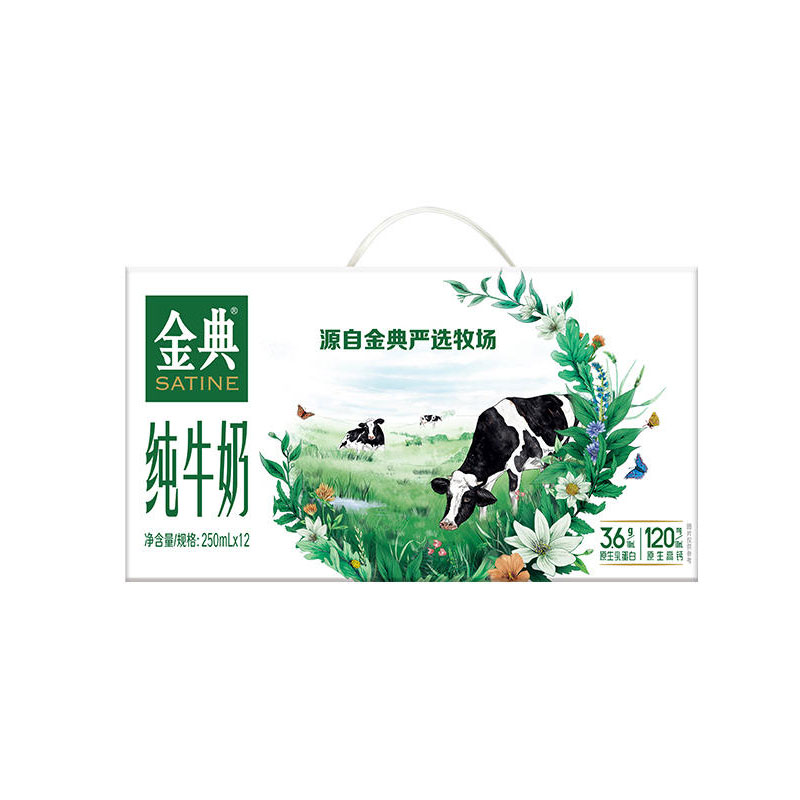 Y伊利  金典 纯牛奶250ml*12*2箱（24年10月份，保质期6个月）