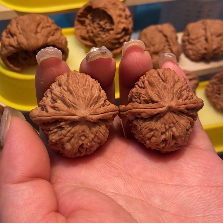 官方网站也将陆续