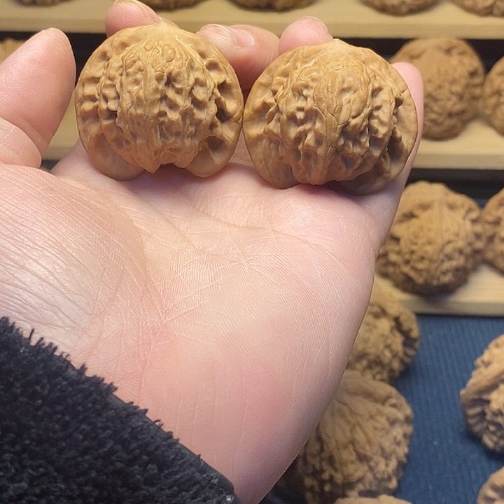 核桃40全品图图福利核桃