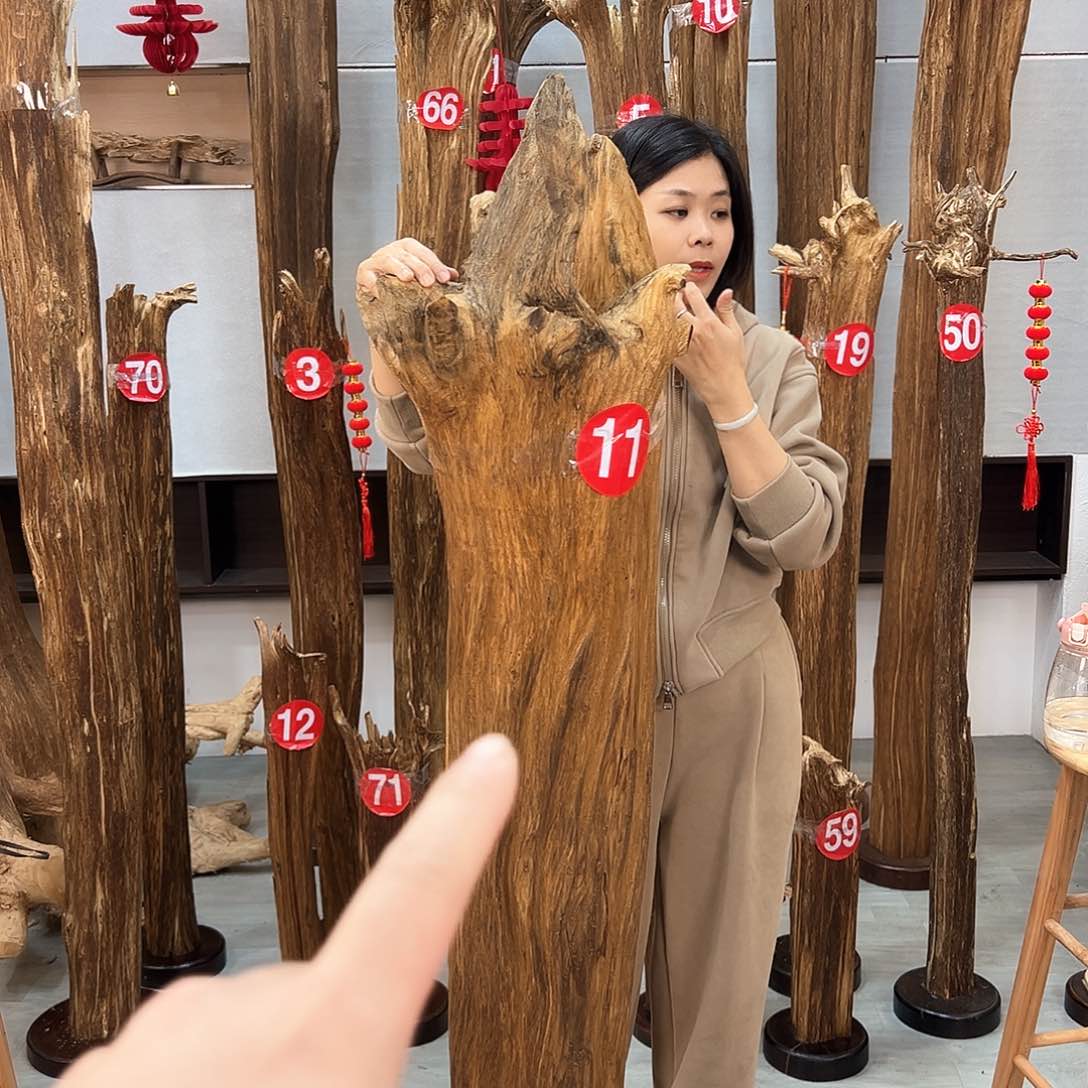 沉香摆件4*O沉香摆件