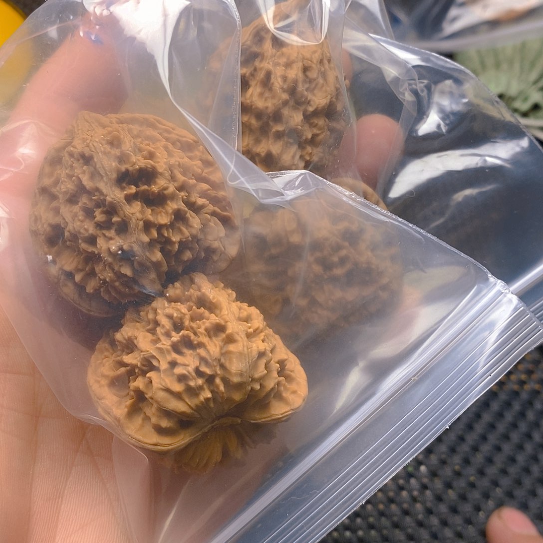 追***者文玩核桃吊坠文玩核桃盒三棱炸炸炸炸炸