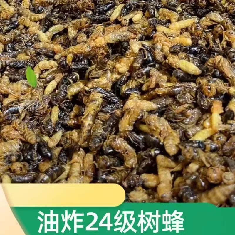 2-4级  树蜂  原味油炸蜂蛹  
