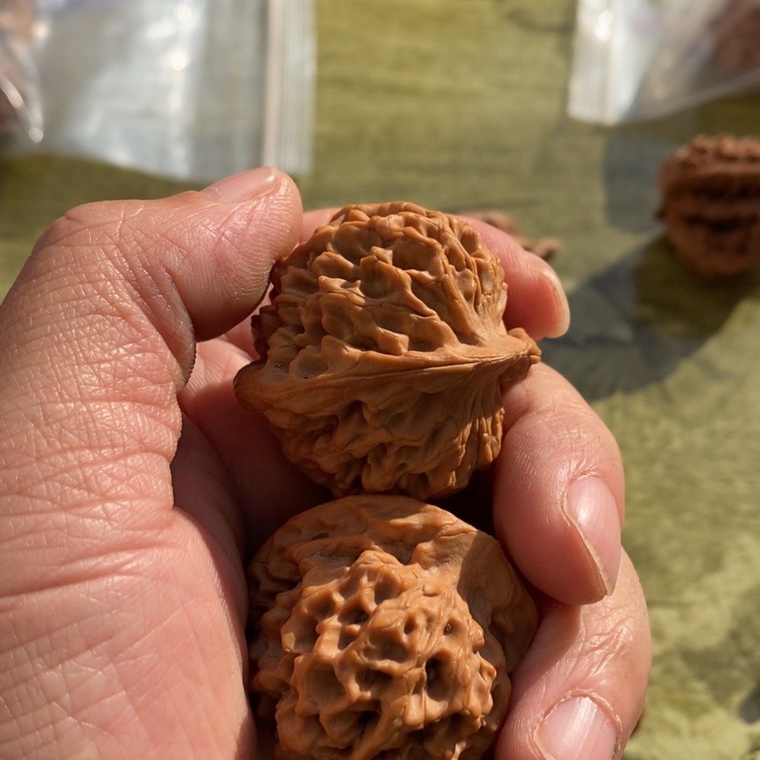 秦岭南侧和东北的山门