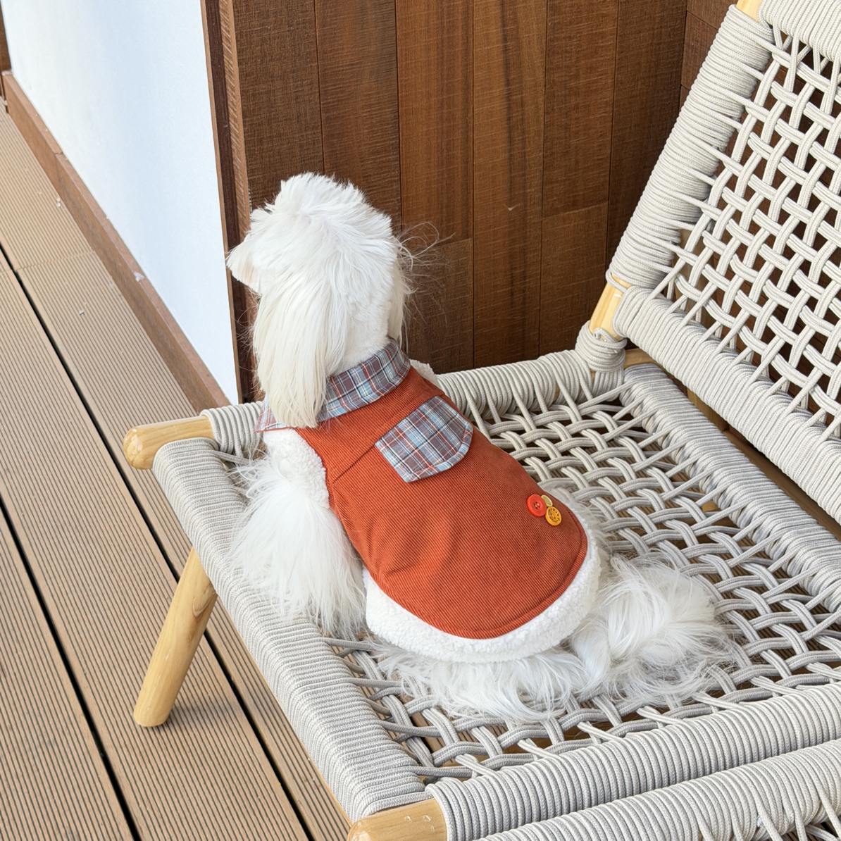 汪纳福｜南瓜挞挞秋冬猫咪狗狗中小型犬保暖加绒马甲背心宠物衣服